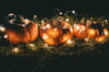Upcoming Halloween Parties: Weekend events, Halloween celebrations, spooky gatherings, costume parties, festive fun, October events.