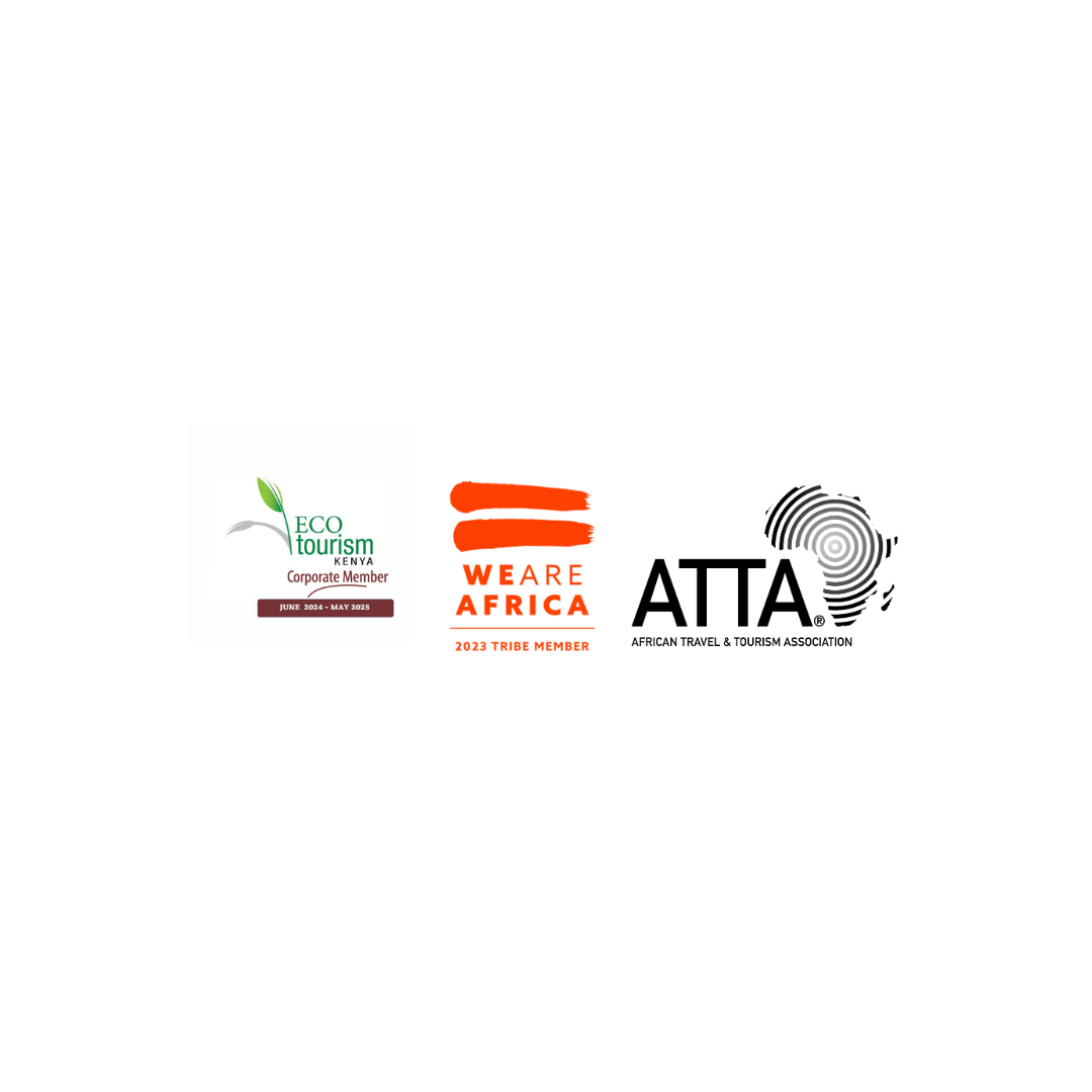 website logos-1