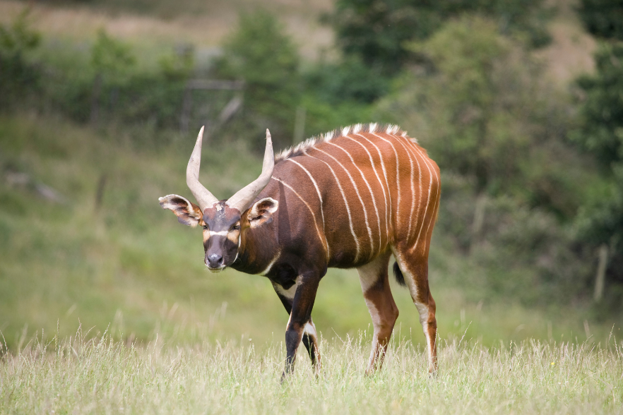 1-Apr-03-2025-09-01-52-6470-AM