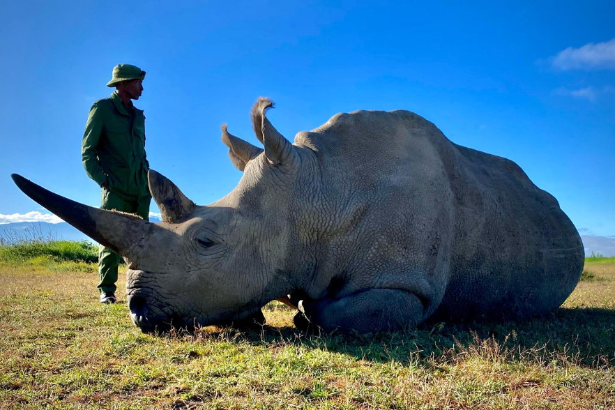 1-Apr-15-2024-07-08-59-6371-PM