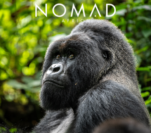 1-Dec-06-2024-03-21-04-1130-PM