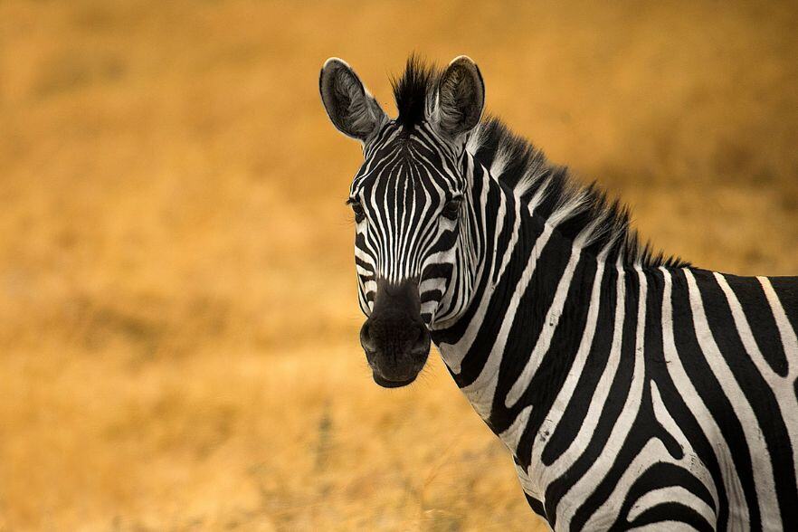 1-Dec-11-2024-06-30-35-5304-AM