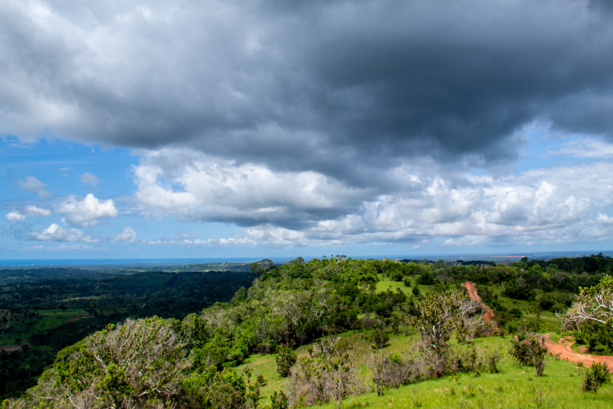 Sheldrick Falls Trek: Shimba Hills adventure, waterfall hike, nature exploration, Kenya travel, scenic beauty, outdoor adventure.