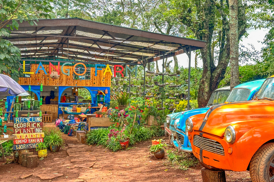 Traveling with Young Kids: Family travel tips, child-friendly destinations, travel with toddlers, family vacation ideas.