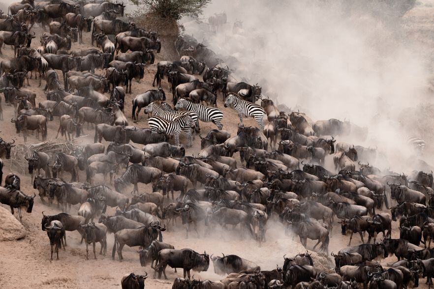 1-Jan-08-2025-07-08-52-8509-AM