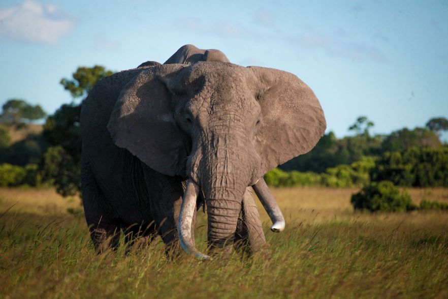 1-Mar-04-2024-03-58-04-0446-AM