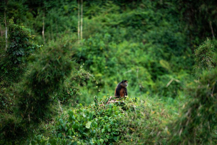 1-Nov-21-2024-03-10-17-0640-PM