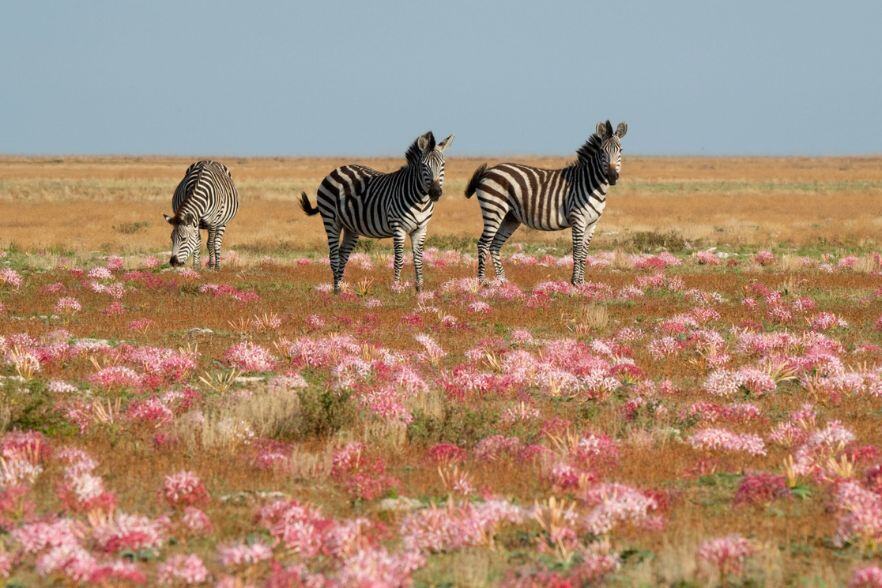 2-Dec-04-2024-08-25-26-3116-AM