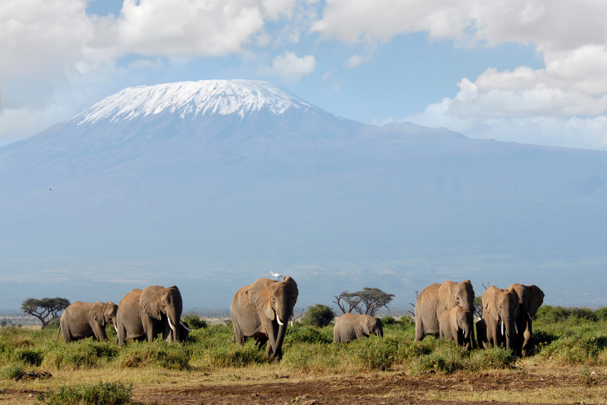 3-Apr-22-2024-11-17-10-5505-AM