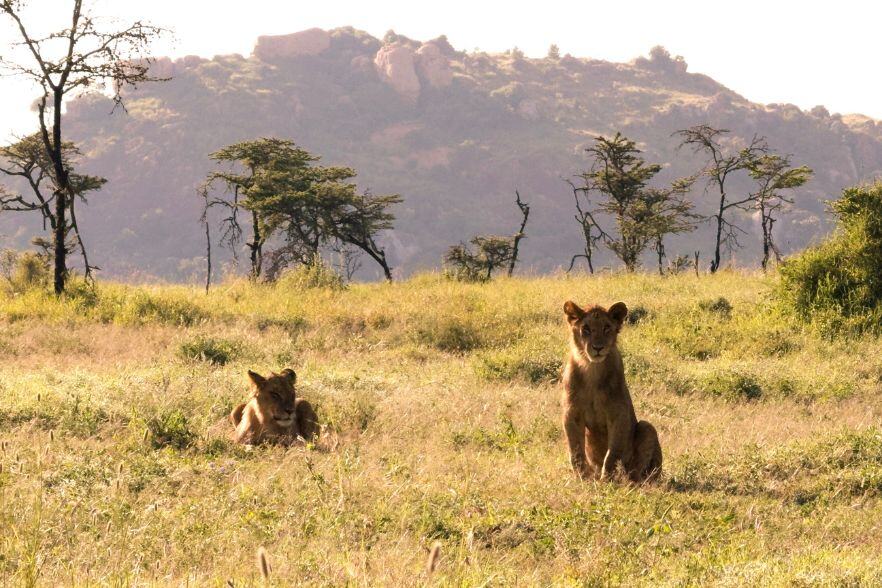 3-Oct-02-2024-01-06-38-0589-PM