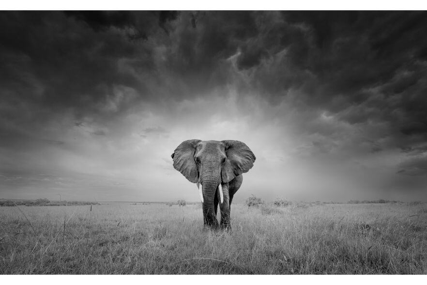 4-Jan-07-2025-01-45-37-2011-PM