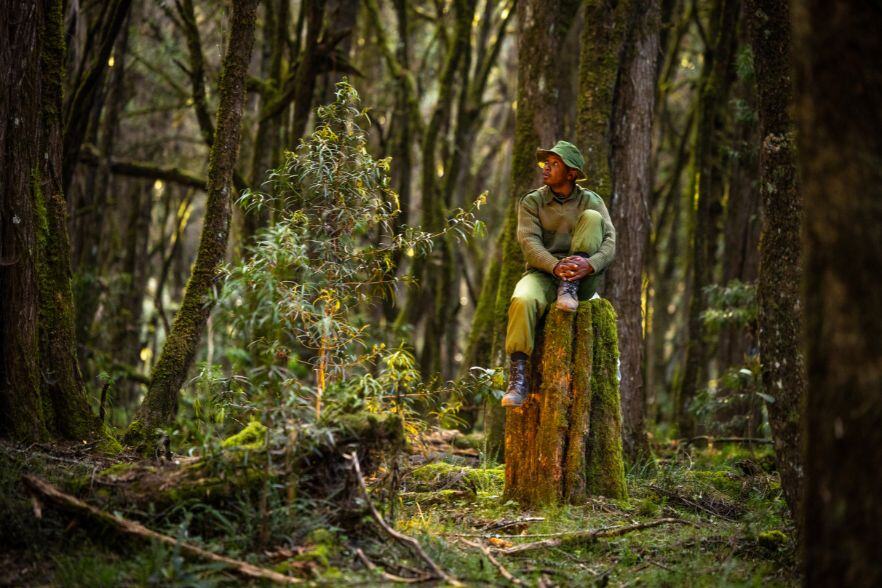 4-Jan-27-2025-09-16-58-7318-AM