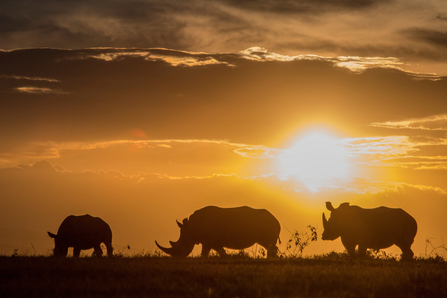 4-Jun-06-2024-01-04-59-7118-PM