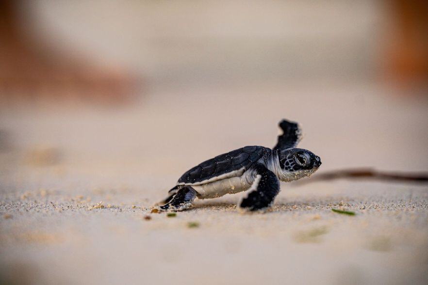 4-Mar-19-2025-01-51-48-1673-PM