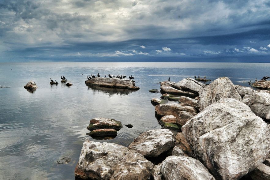 Rubondo Island Camp, an eco-friendly haven on Tanzania's largest island national park. Unwind in handcrafted cottages, explore untouched forests, game drives, and pristine beaches