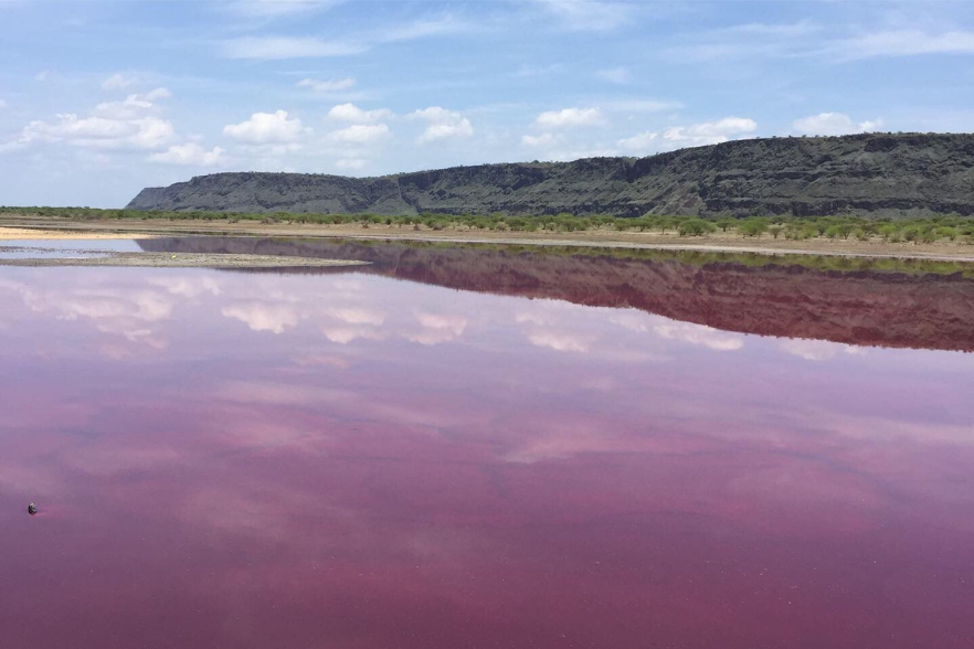 6-May-28-2024-11-31-16-8494-AM