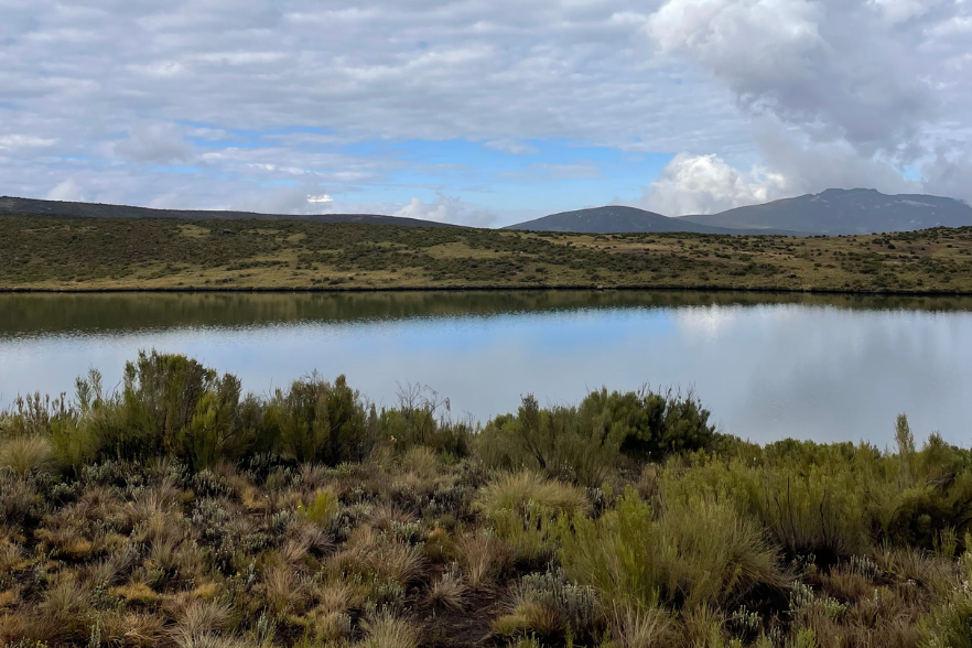 6-Nov-27-2024-12-45-22-8372-PM