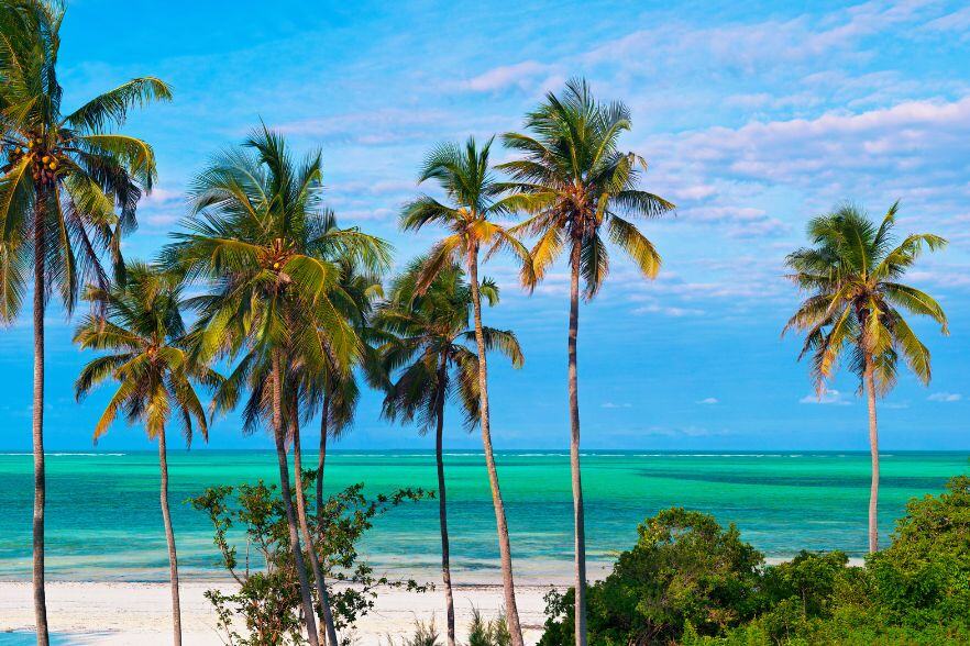 7-Jan-22-2025-08-19-18-0218-AM