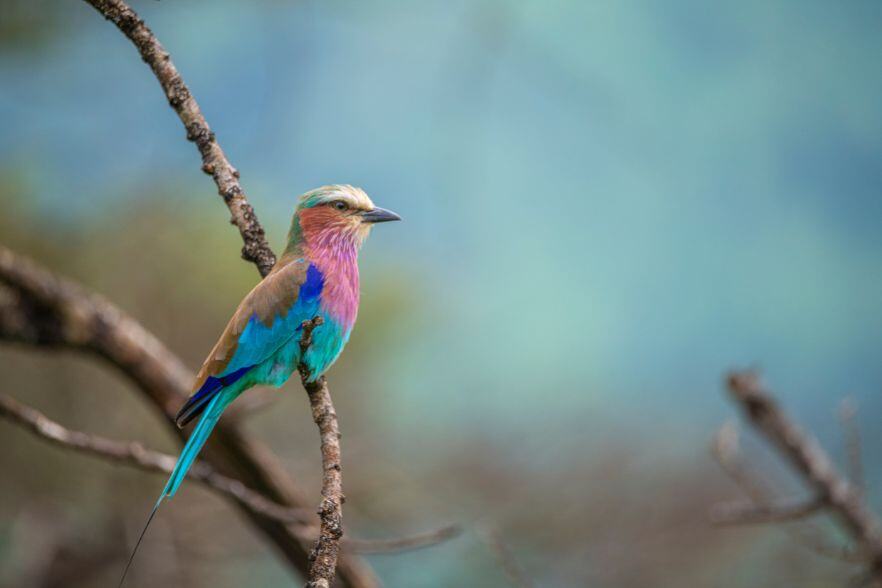 8-Dec-07-2024-12-30-50-9098-PM