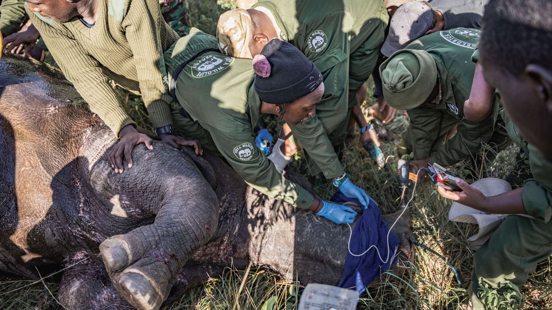 8-Mar-03-2025-10-29-36-4766-AM