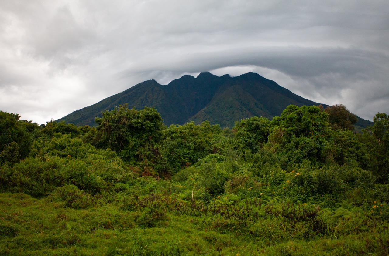 Copy of IMG_0423 Large