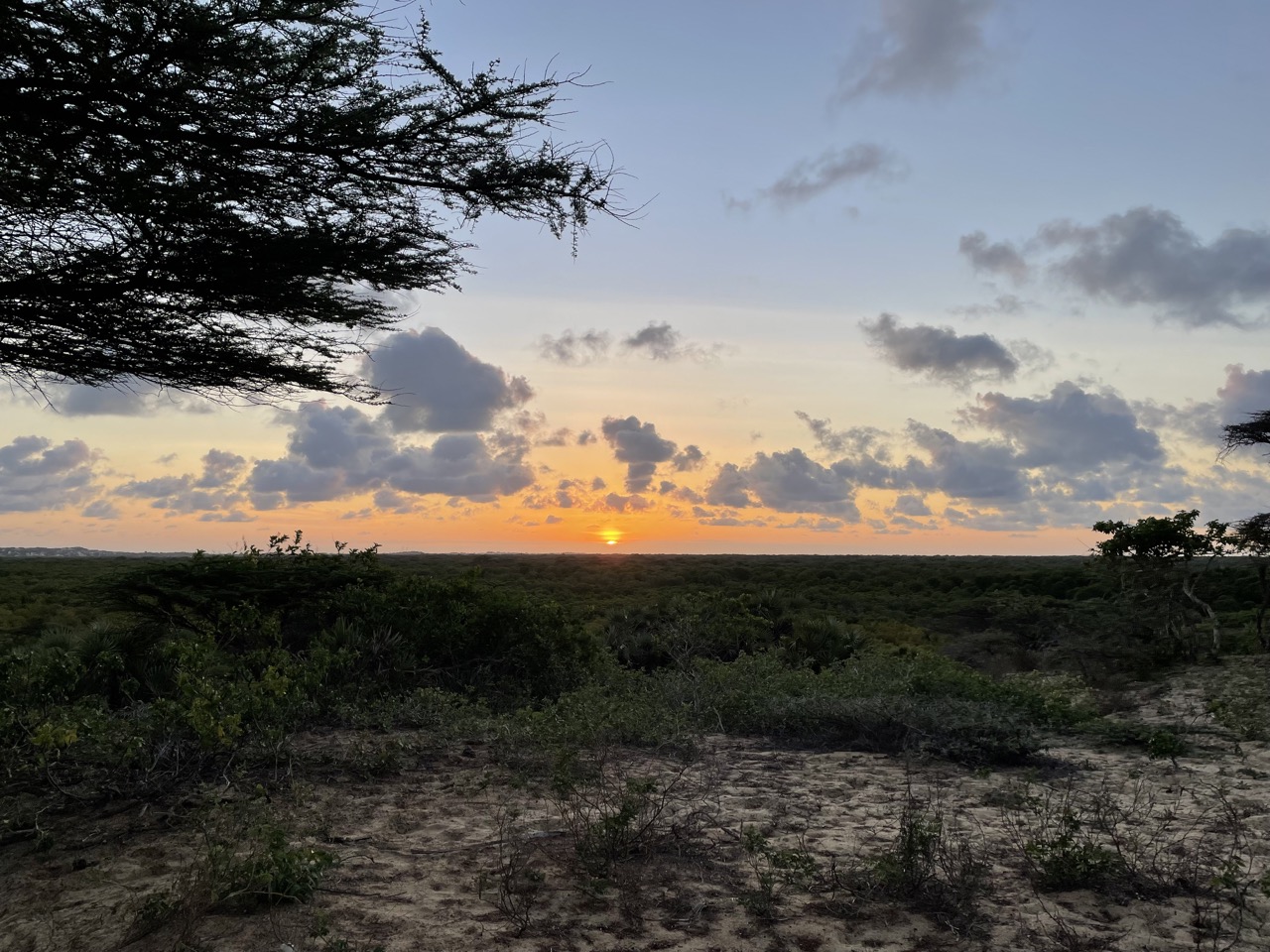 Preserving Paradise: Lamu Marine Conservation Trust, marine biodiversity, conservation efforts, sustainable practices, coastal preservation.