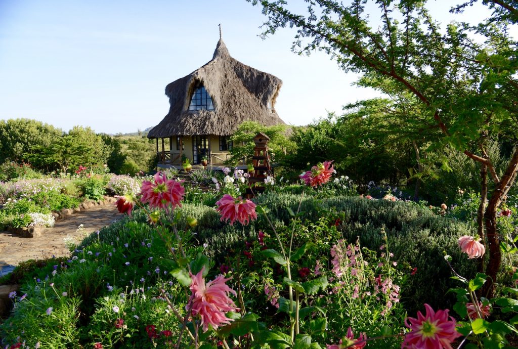 Spotlight on Olepangi Farm Laikipia: Explore sustainable tourism with Nomad Africa. Discover eco-friendly accommodations, wildlife, and community initiatives.