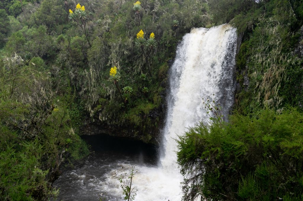 Discover Kenya's Popular Parks