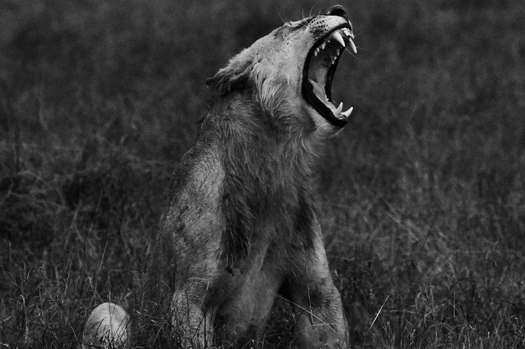 Morning News Reading: Current events, news updates, headline stories, breaking news, latest updates, news articles, news analysis.