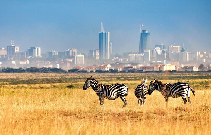 Nairobi-National-Park-700x450-1