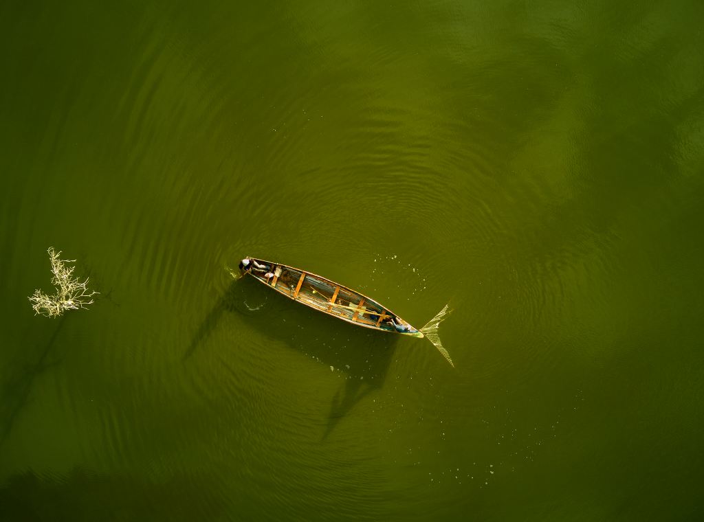 Fresh Eyes on Naivasha: Explore travel insights with Nomad Africa. Discover destinations, culture, and adventure in Naivasha.