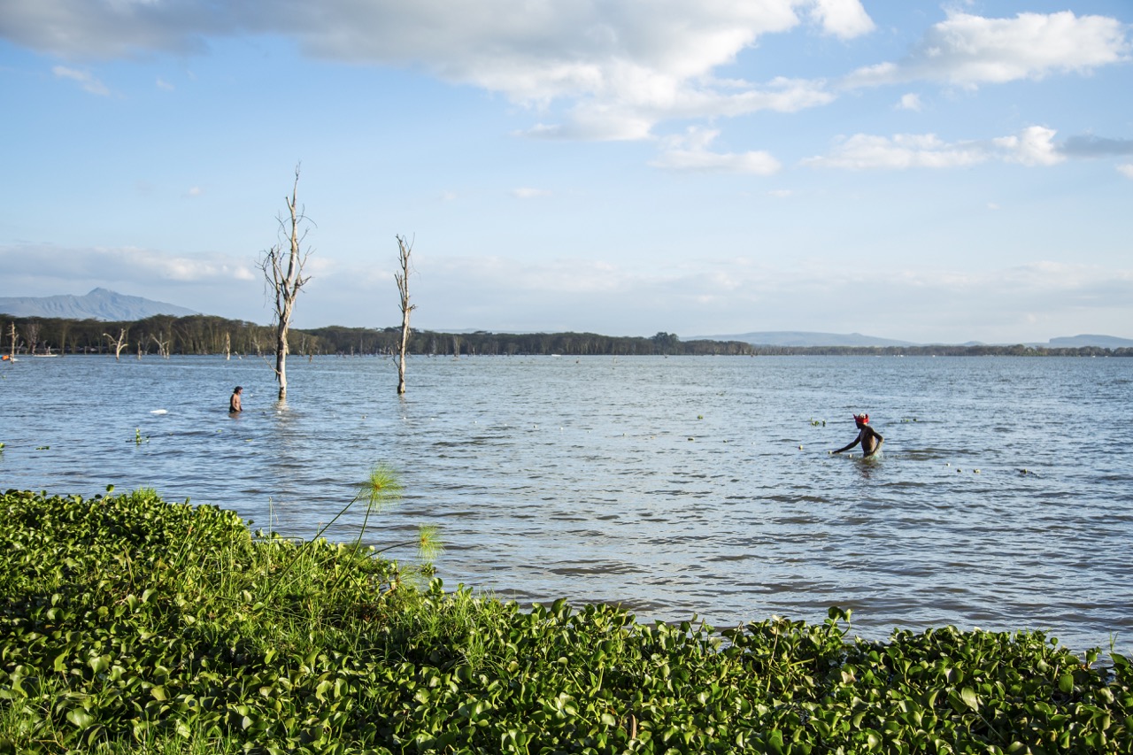 local-fishermen-on-lake-naivasha-kenya-2022-05-11-10-38-32-utc Large