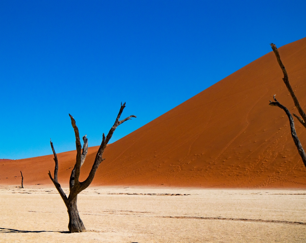 Dancing in the Dunes: Desert adventure, sand dunes, travel experiences, desert exploration, nature photography.