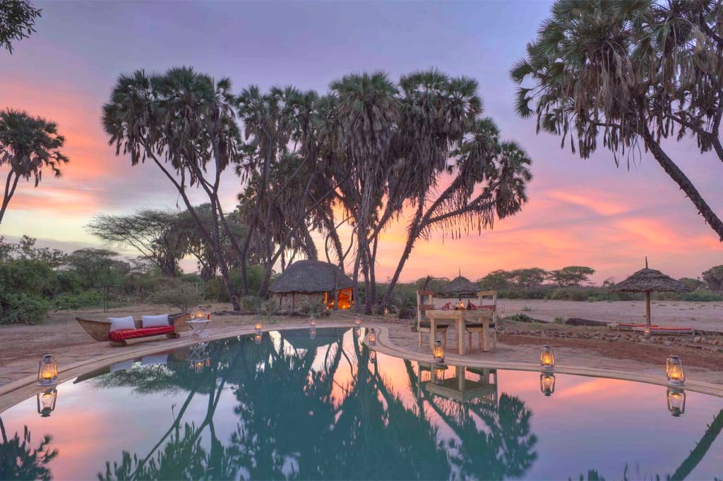 Sera Conservancy: Conservation success, wildlife sanctuary, community engagement, Northern Kenya, sustainable tourism, endangered species protection.