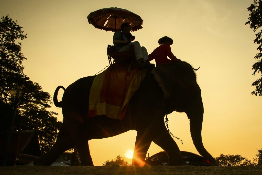 Age of the Conscious Traveler: Sustainable tourism, eco-friendly travel, responsible exploration, ethical experiences, mindful journeys.