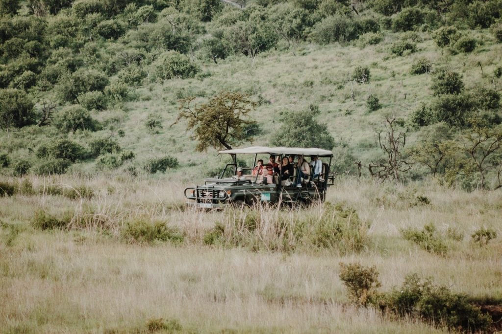 Explore solutions for conservation challenges in the Mara with Nomad Africa's 'Troubled Mara: Can Conservancies Show the Way?' article. Learn about eco-friendly initiatives and wildlife protection.