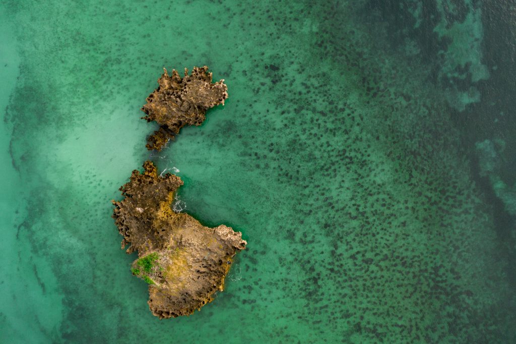 7 Ways to Help World Oceans Day 2023: Ocean conservation, marine life protection, sustainable practices, eco-friendly initiatives, awareness.