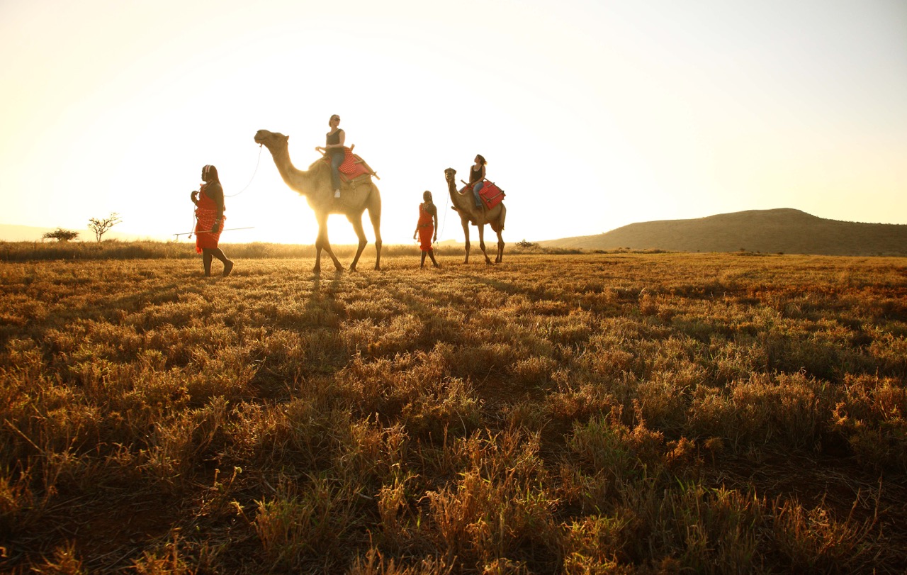 Lewa Safari Camp - activities - camel trekking-31 Large