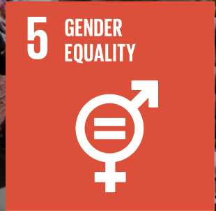 Screenshot 2024-06-06 at 16.07.16