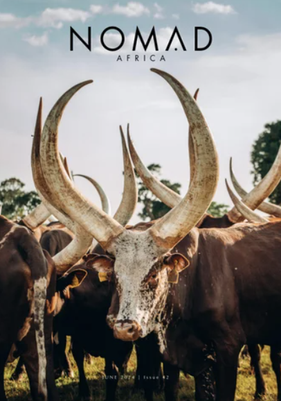 Screenshot 2024-07-22 at 09.48.18