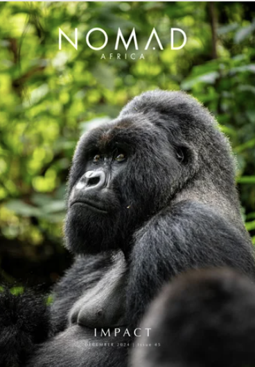 Screenshot 2025-02-18 at 12.41.06