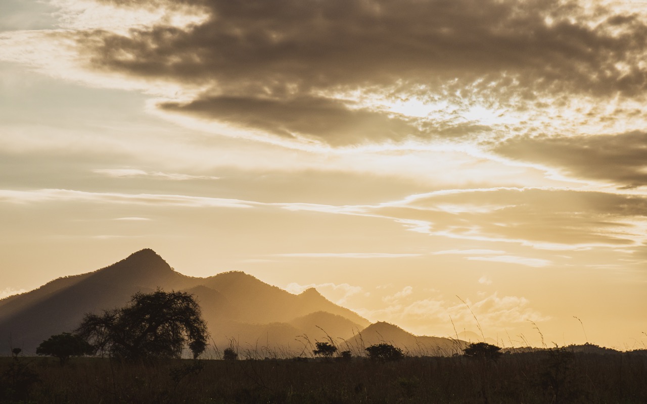 TTP23Kidepo-100 Large