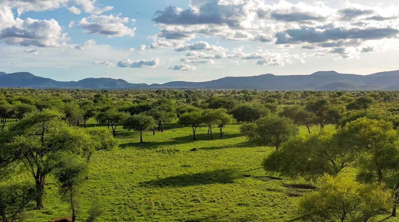 TTP23Kidepo-156 Large