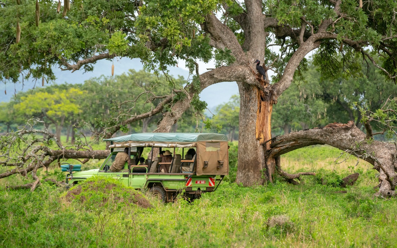 TTP23Kidepo-71 Large