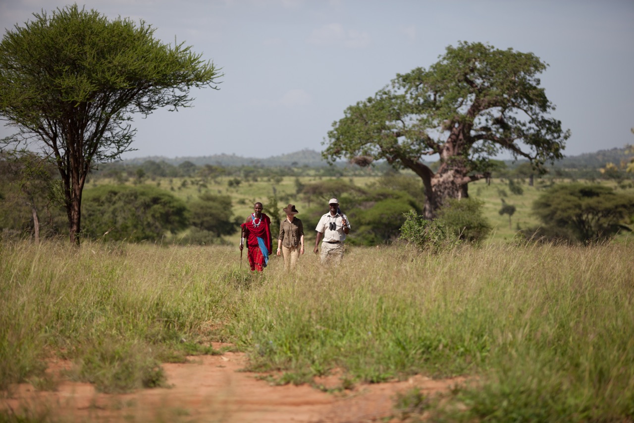 Tarangire Treetops - activities - guided bush walks & stunning views Large-1