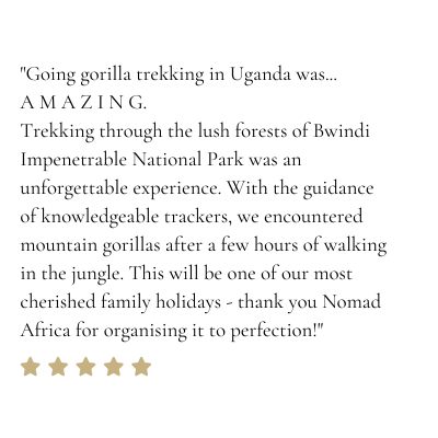 Testimonials for Website