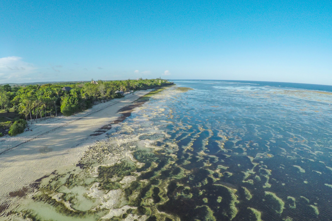 Vipingo-Ridge-Arials-27-property