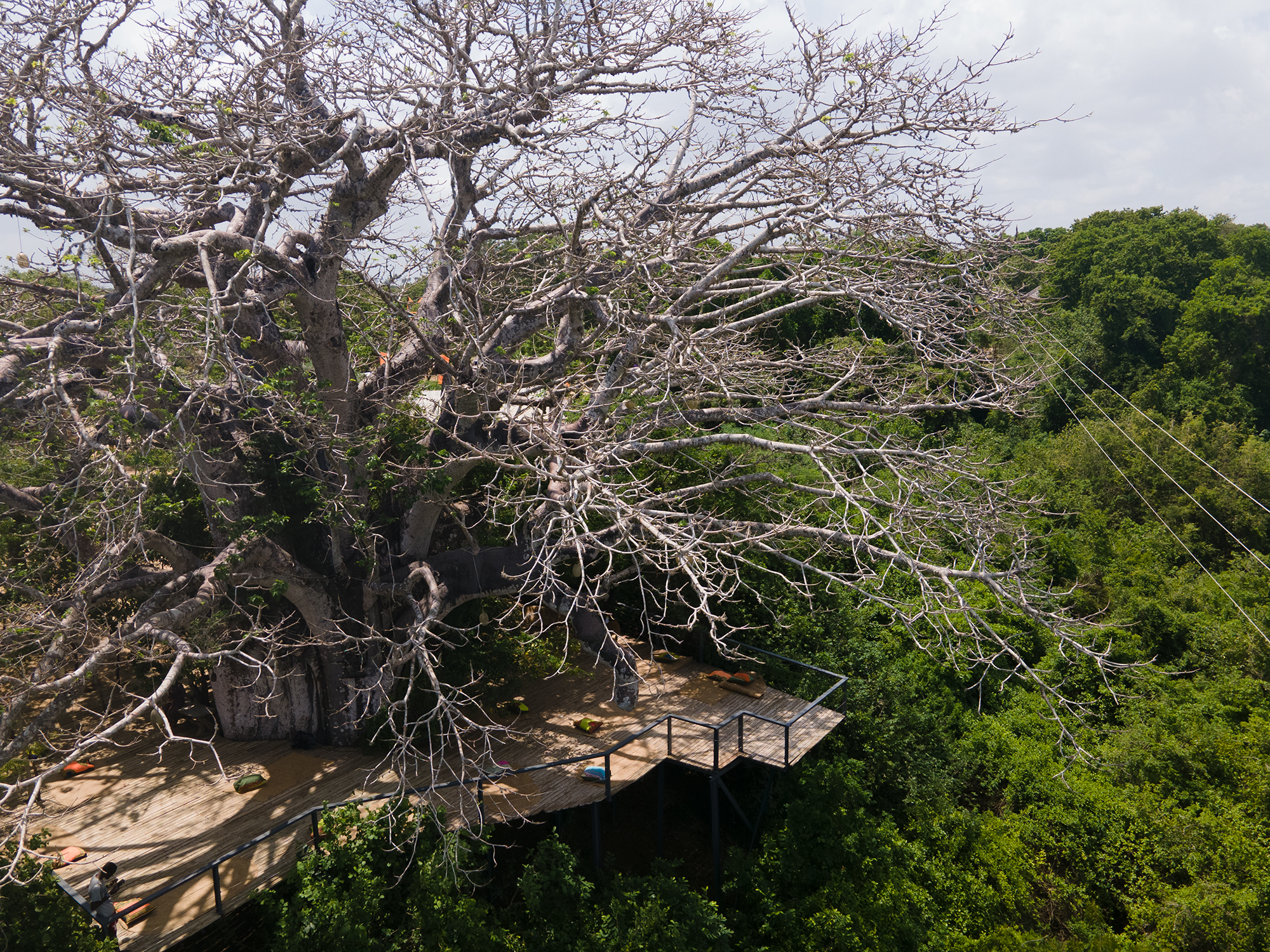 Exciting Events in Kenya December: Festive celebrations, cultural festivals, music concerts, holiday events, year-end festivities, December happenings.