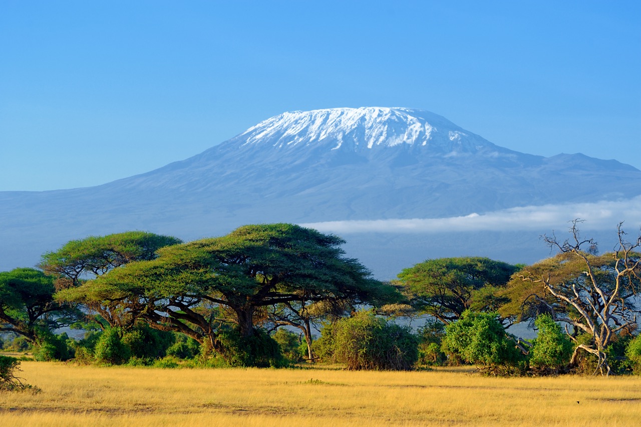 kilimanjaro-on-african-savannah-2021-08-26-15-55-40-utc Large