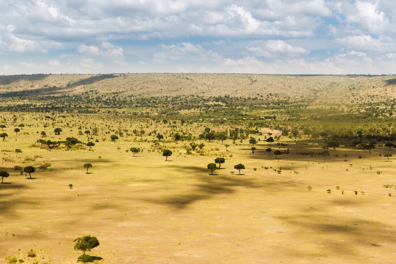 maasai-mara-national-reserve-savanna-at-africa-2022-12-16-09-37-42-utc Large